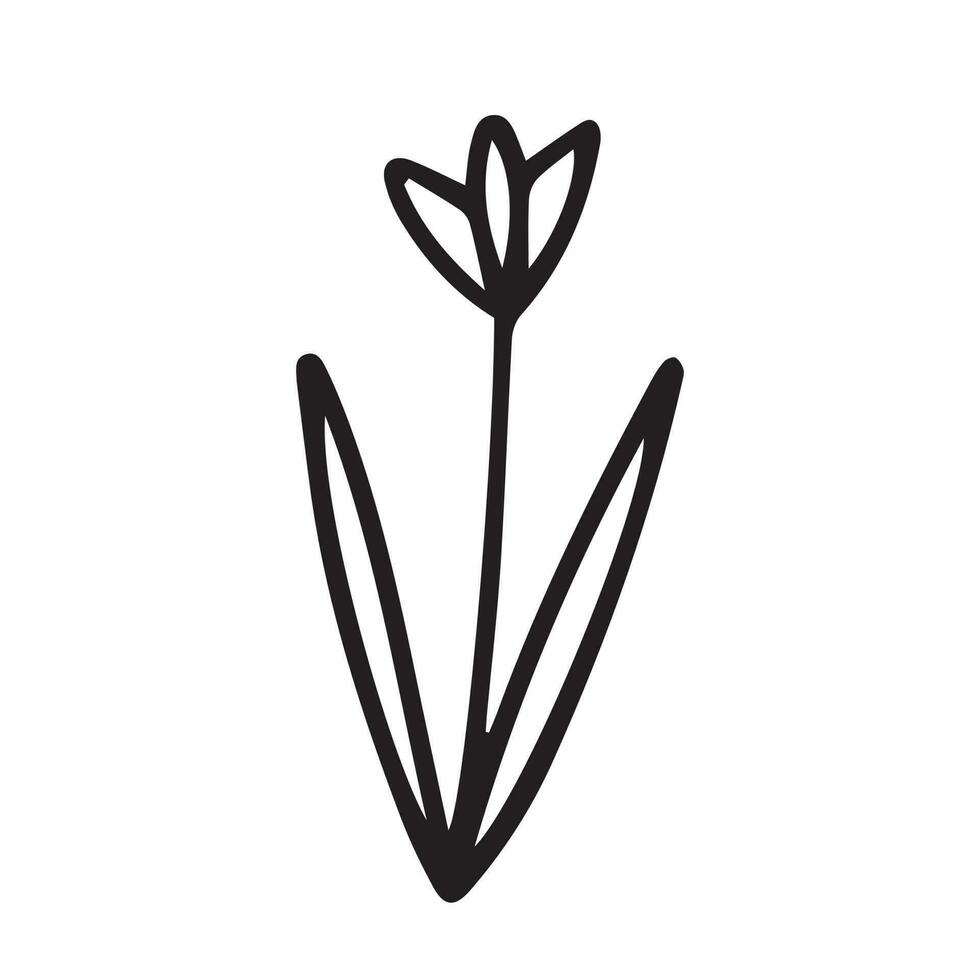 vector tekening tulp bloem illustratie. hand- getrokken tulp schetsen
