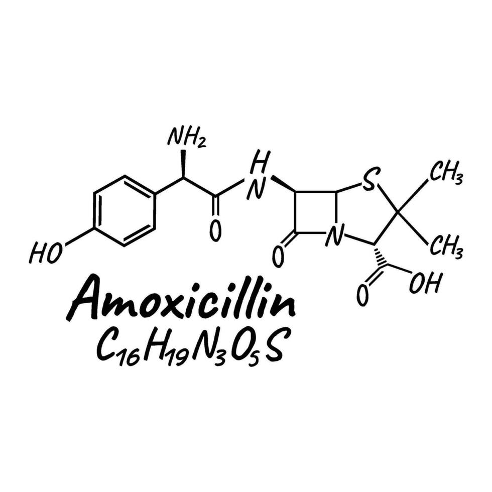 amoxicilline antibiotica chemisch formule en samenstelling, concept structureel medisch medicijn, geïsoleerd Aan wit achtergrond, vector illustratie.