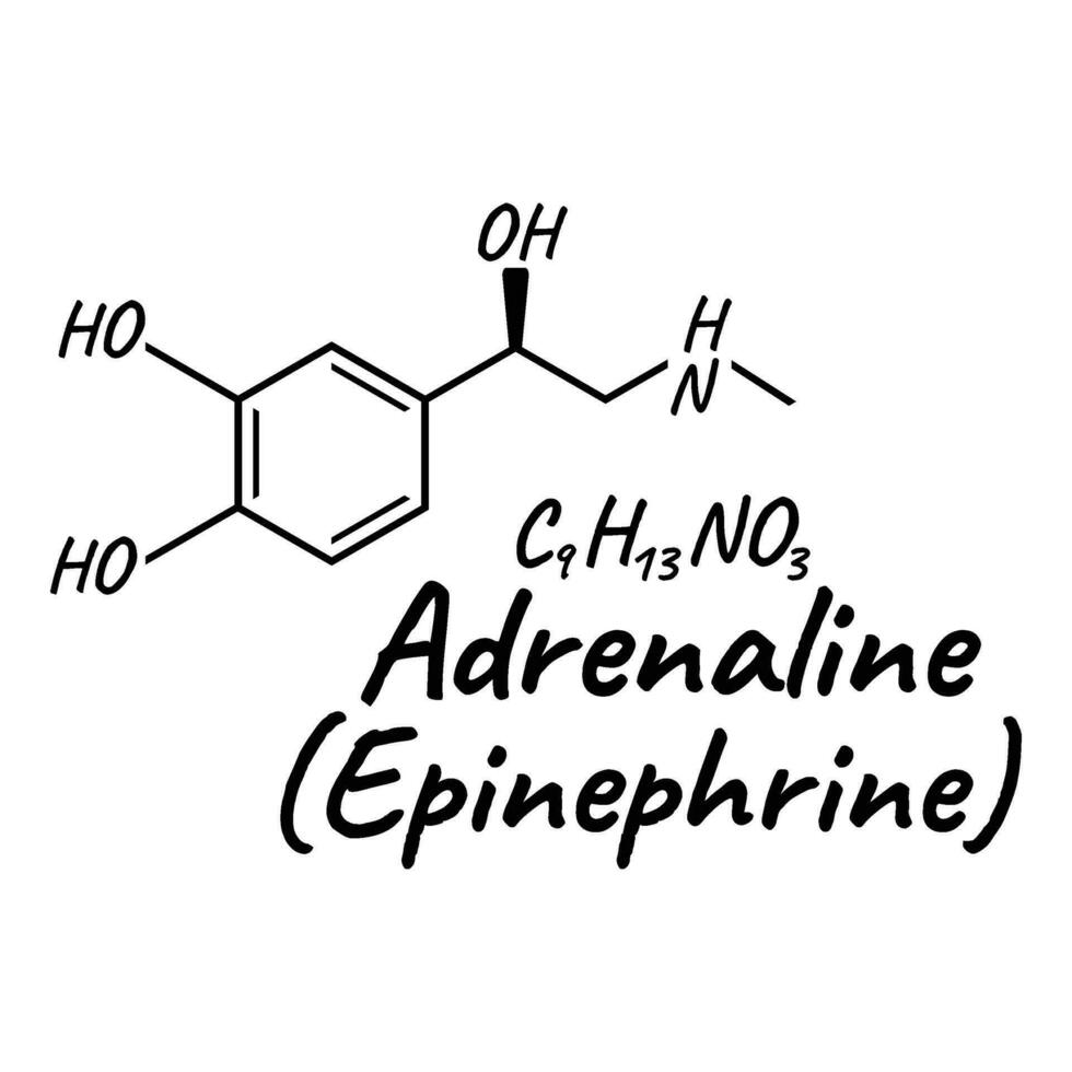 menselijk hormoon adrenaline, epinefrine concept chemisch skelet- formule icoon label, tekst doopvont vector illustratie, geïsoleerd Aan wit.
