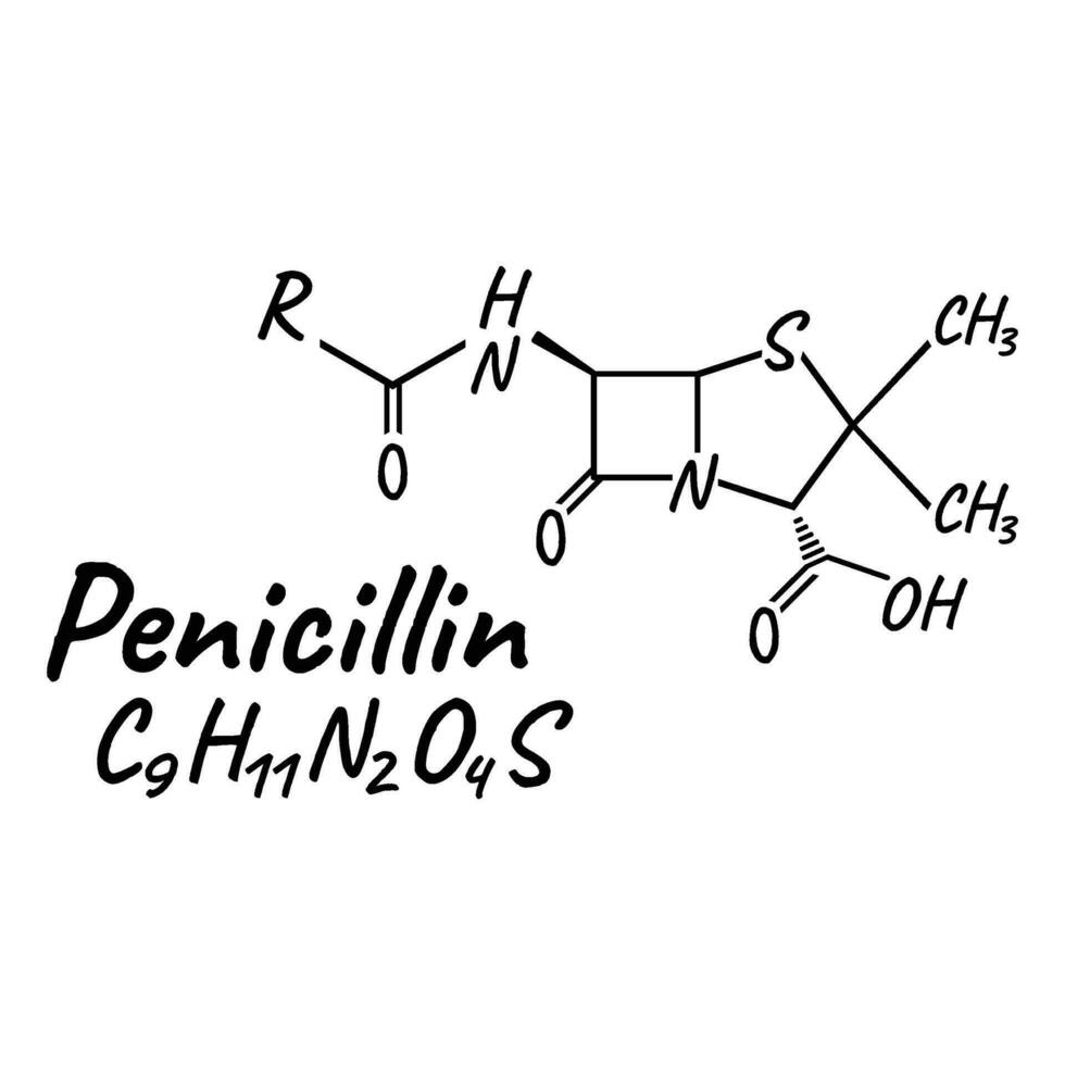penicilline antibiotica chemisch formule en samenstelling, concept structureel medisch medicijn, geïsoleerd Aan wit achtergrond, vector illustratie.