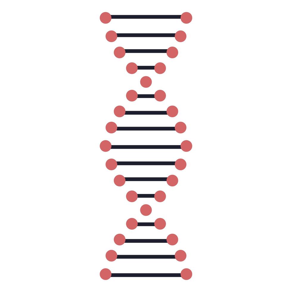 dna molecuul wetenschap vector