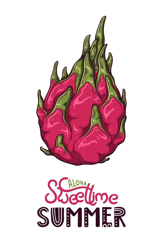 vectorillustratie van dragon fruit in schets stijl. vector