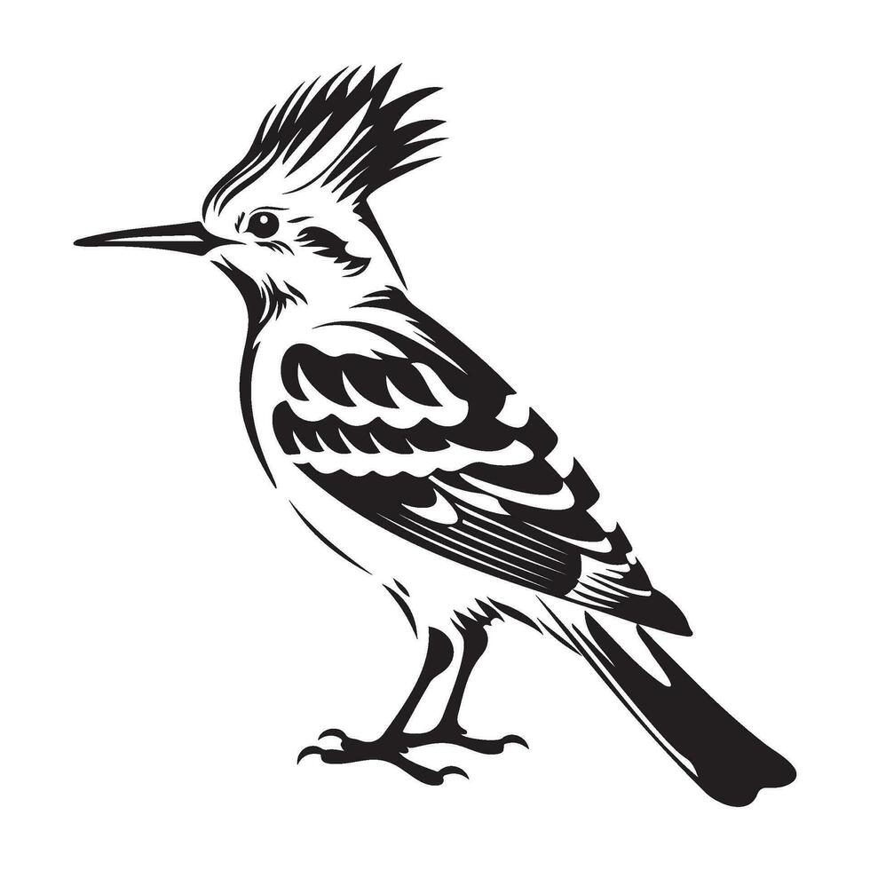 Euraziatisch hop icoon, gemakkelijk illustratie van Euraziatisch hop icoon, vogel glyph icoon. vector