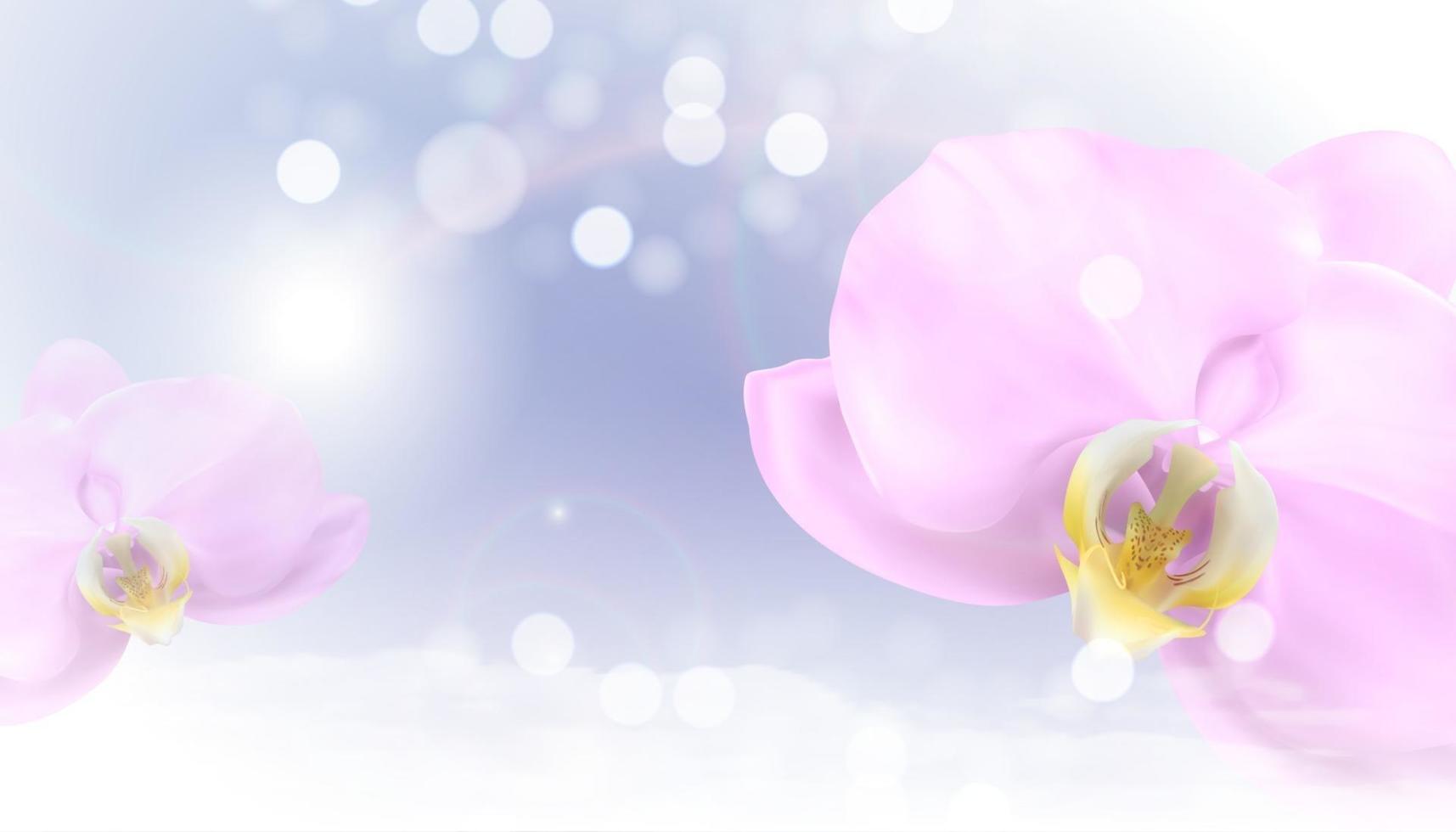 realistische 3d orchidee bloem glanzende achtergrond vector