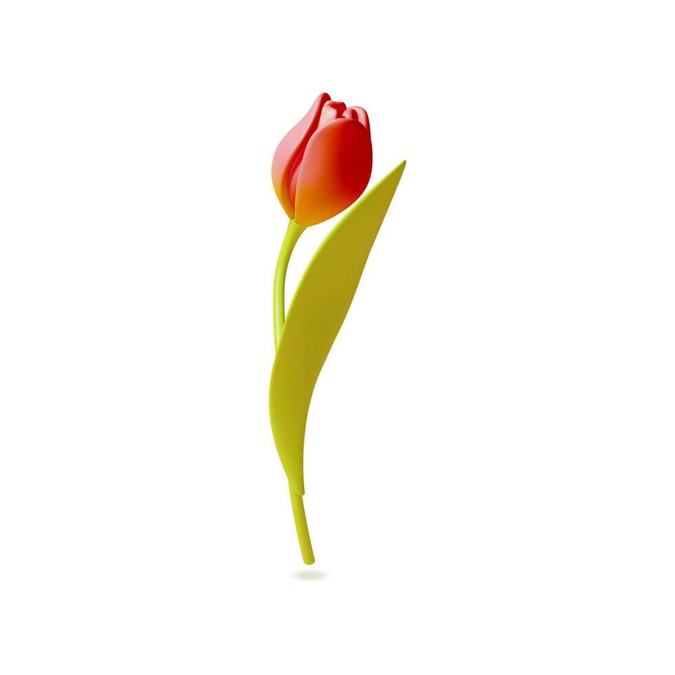 3d rood tulp bloem tekenfilm stijl. vector