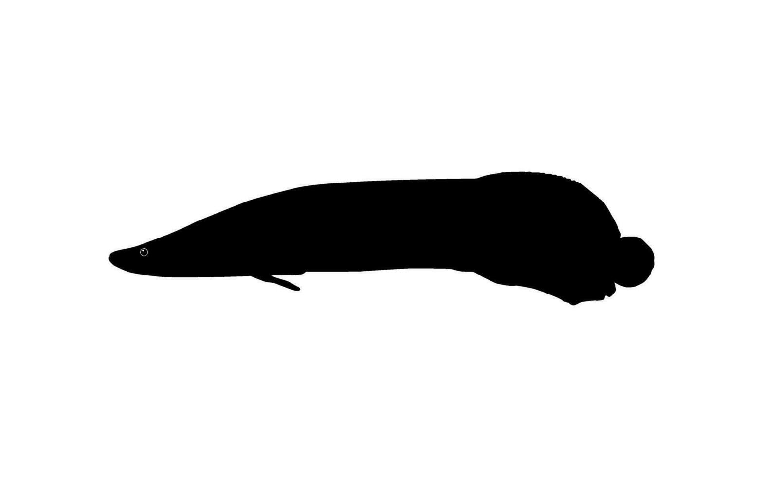 silhouet van de vis arapaima, of pirarucu, of paiche, voor icoon, symbool, pictogram, kunst illustratie, logo type, website of grafisch ontwerp element. vector illustratie