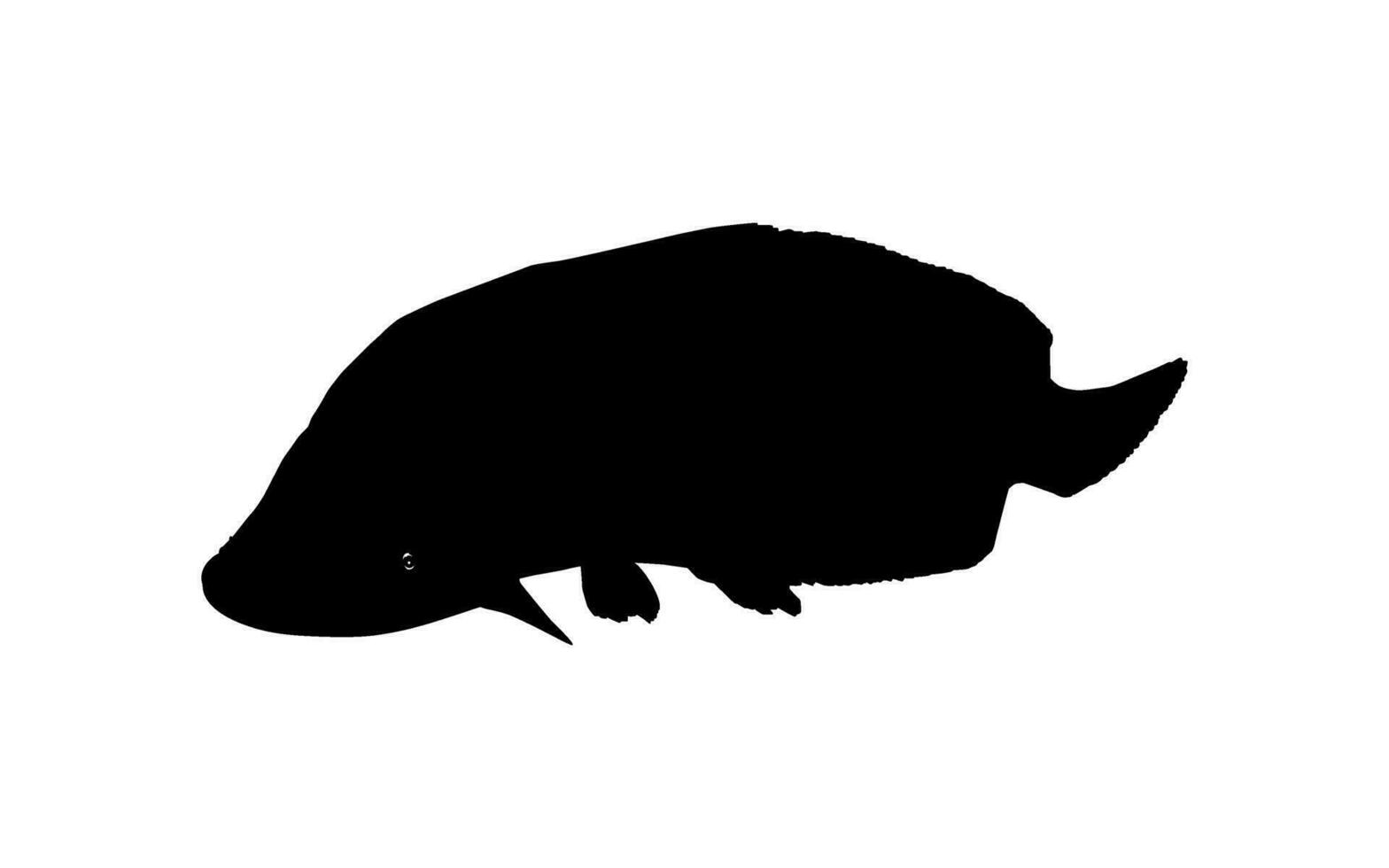 silhouet van de vis arapaima, of pirarucu, of paiche, voor icoon, symbool, pictogram, kunst illustratie, logo type, website of grafisch ontwerp element. vector illustratie