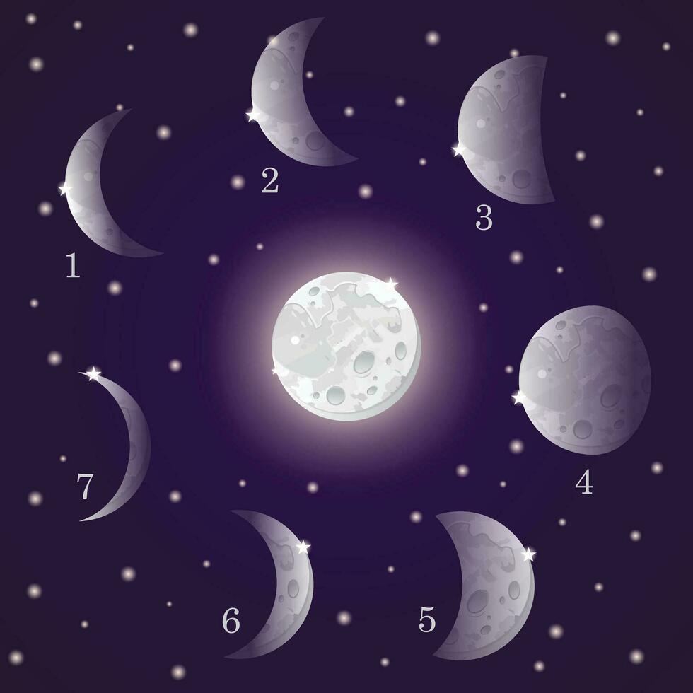 vector illustratie van een nacht lucht met wit sterren en gloeiend tekenfilm manen reeks met verschillend vormen