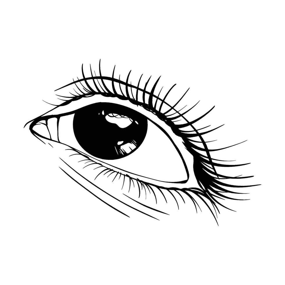 hand- getrokken schetsen oog vector