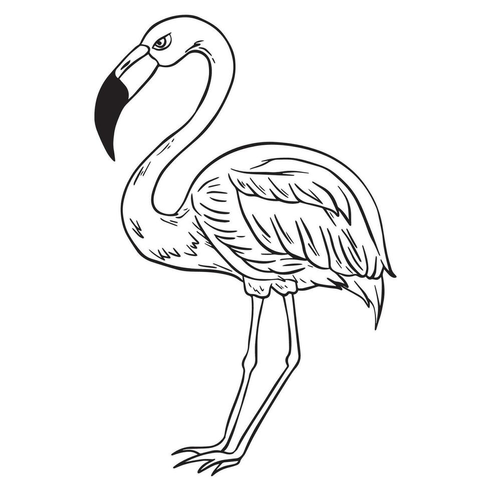 staand flamingo vogel schets ,Goed voor grafisch ontwerp bronnen, stickers, afdrukken, decoratief middelen, affiches, en meer. vector