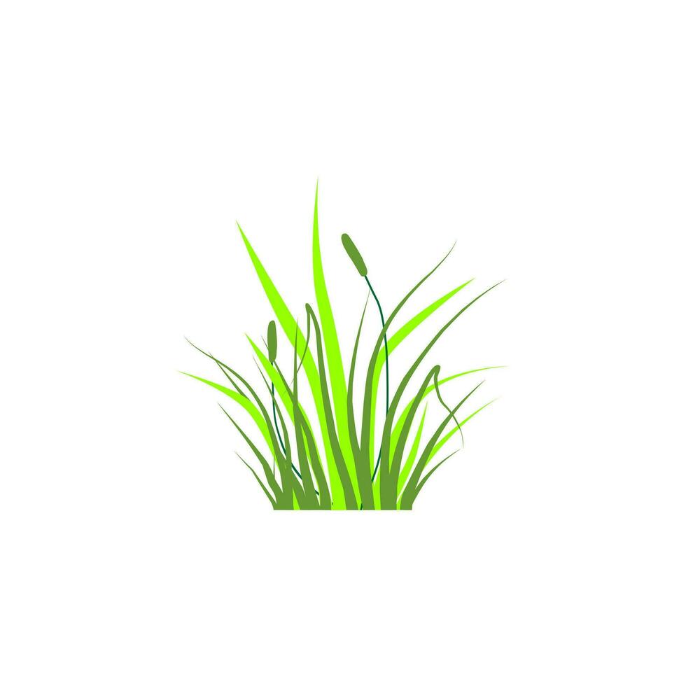 gras geïsoleerd illustratie ontwerp in kleur vector