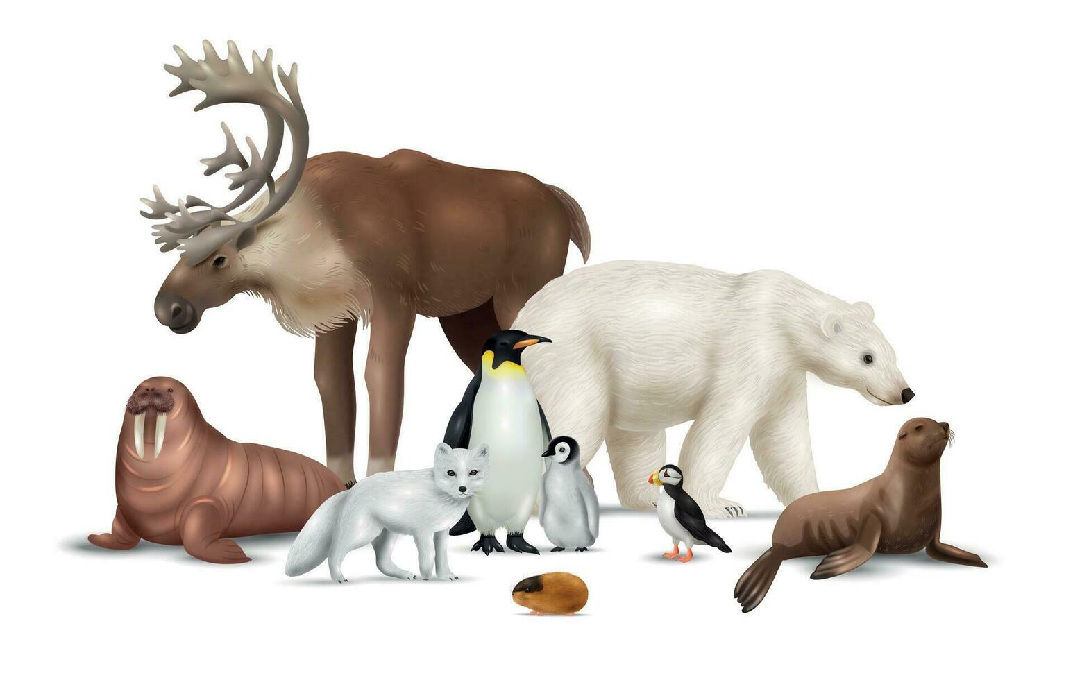 realistisch arctisch dieren vector