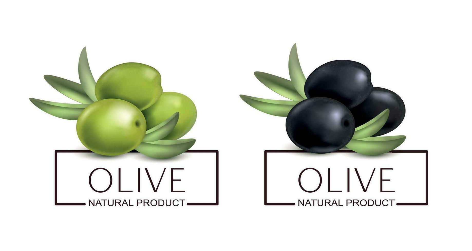 olijf- natuurlijk Product etiketten vector