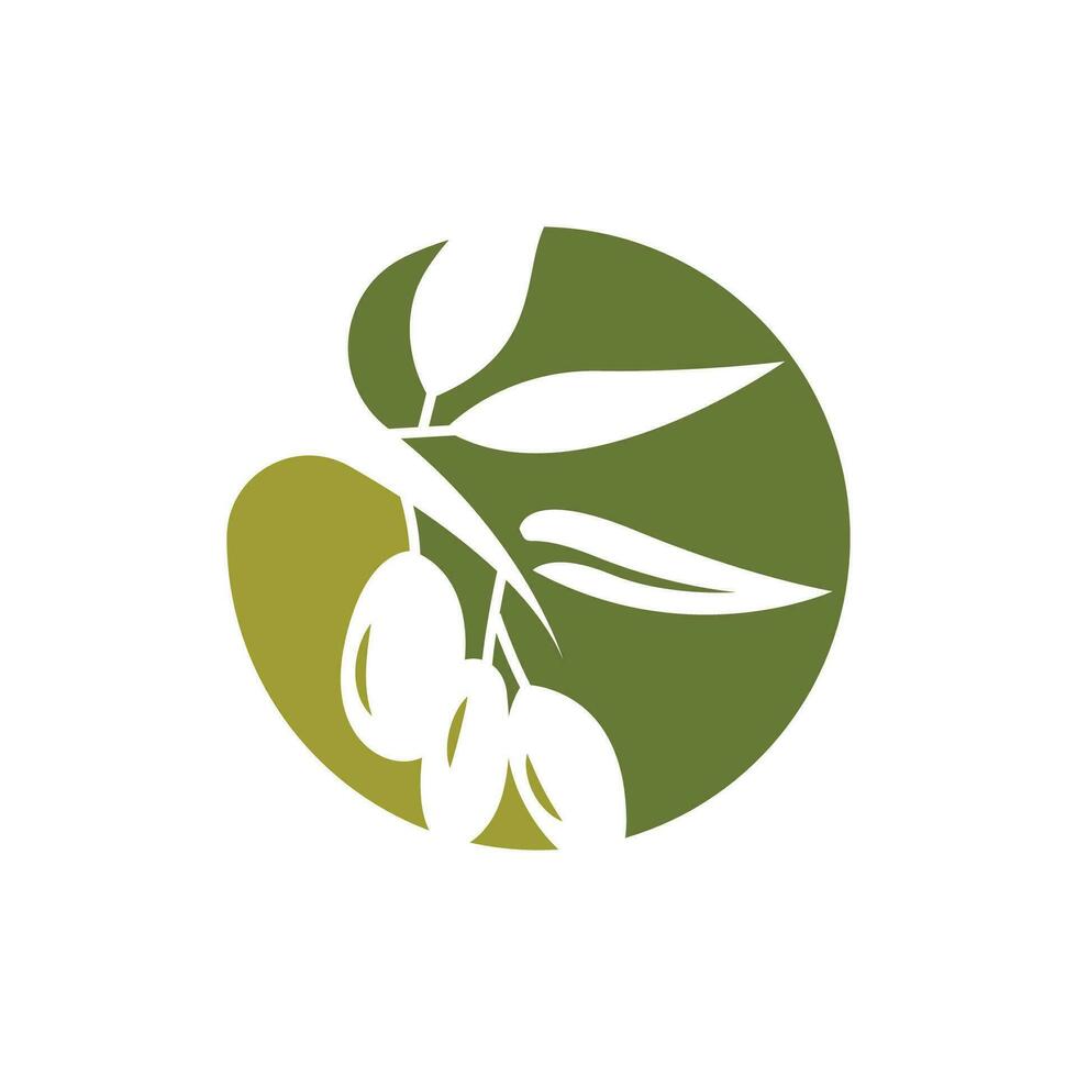 olijf- logo ontwerp, olijf- olie boom vector, gemakkelijk illustratie sjabloon vector