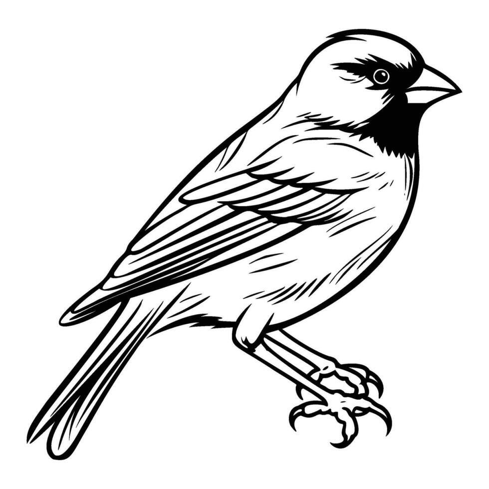 vinken silhouet, vinken mascotte logo, vinken zwart en wit dier symbool ontwerp, vogel icoon. vector
