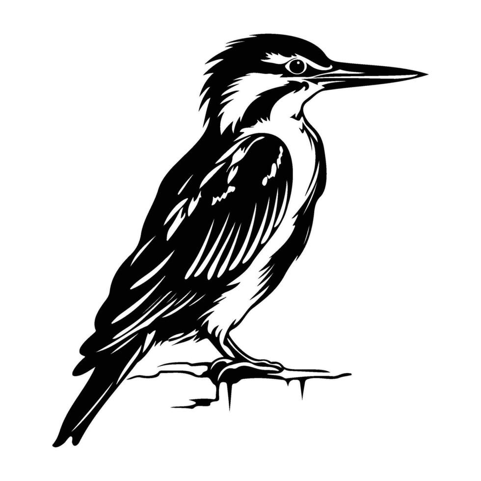 ijsvogel vogel silhouet, ijsvogel vogel mascotte logo, ijsvogel vogel zwart en wit dier symbool ontwerp, vogel icoon. vector