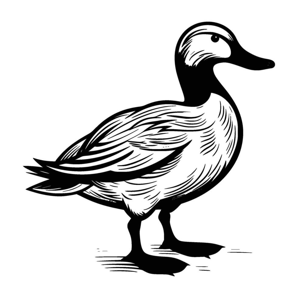 wilde eend silhouet, wilde eend mascotte logo, wilde eend zwart en wit dier symbool ontwerp, vogel icoon. vector
