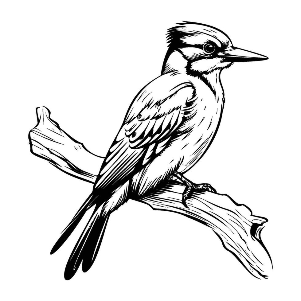 spechten silhouet, spechten mascotte logo, spechten zwart en wit dier symbool ontwerp, vogel icoon. vector