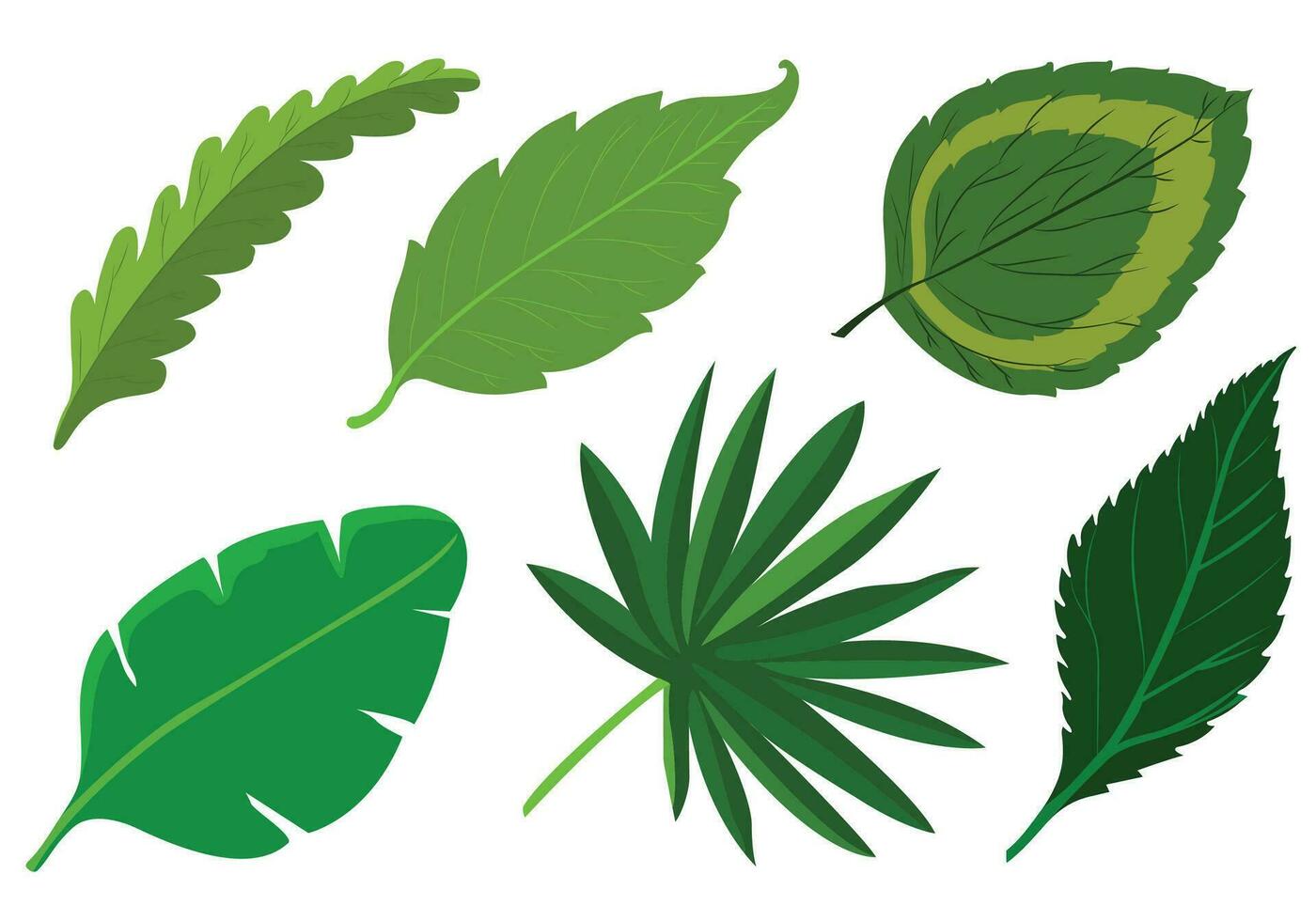 realistisch tropisch planten groen blad reeks ontwerp vector