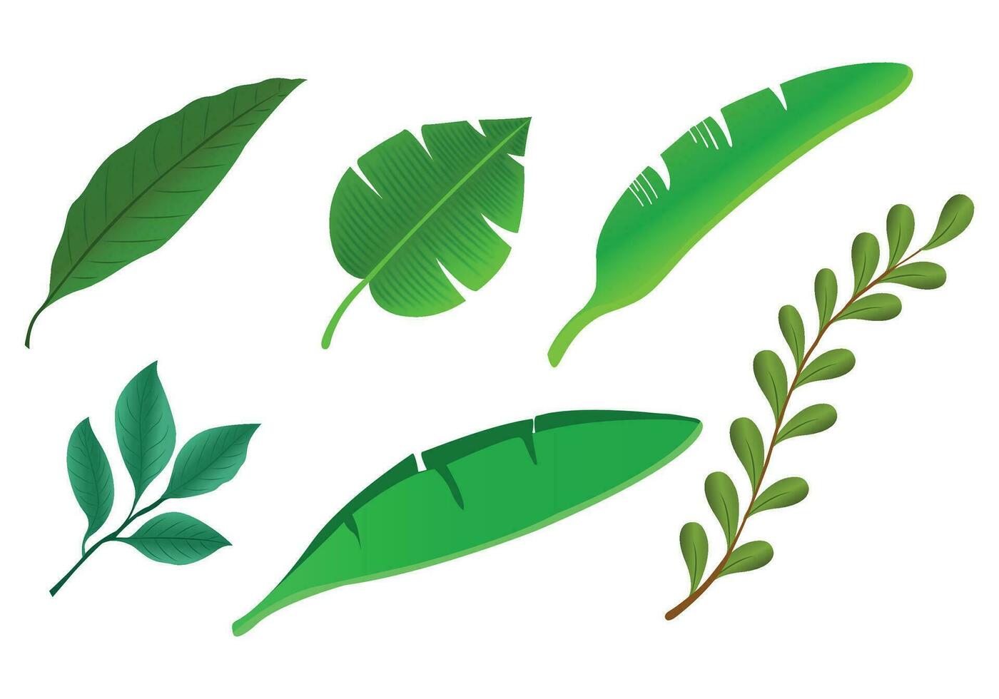 realistisch tropisch planten groen blad reeks ontwerp vector