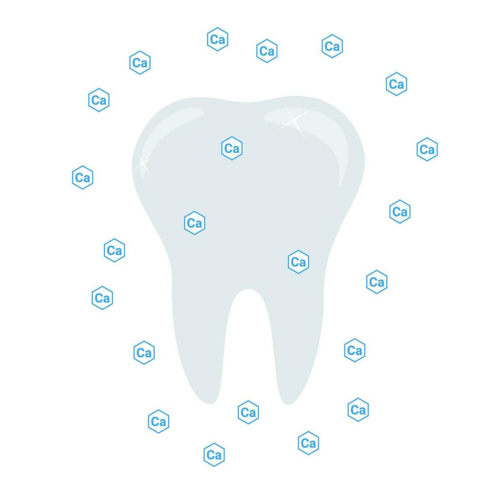 tand, mineraal, calcium. tandheelkunde. vector illustratie kan worden gebruikt voor topics zo net zo Gezondheid, voeding, vitamines.