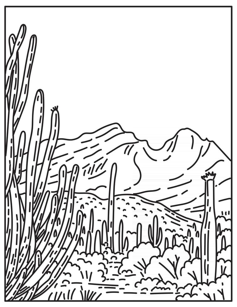 orgelpijp cactus nationaal monument in de sonorawoestijn gelegen in het uiterste zuiden van arizona verenigde staten monolijn of monoline zwart-wit lijntekeningen vector