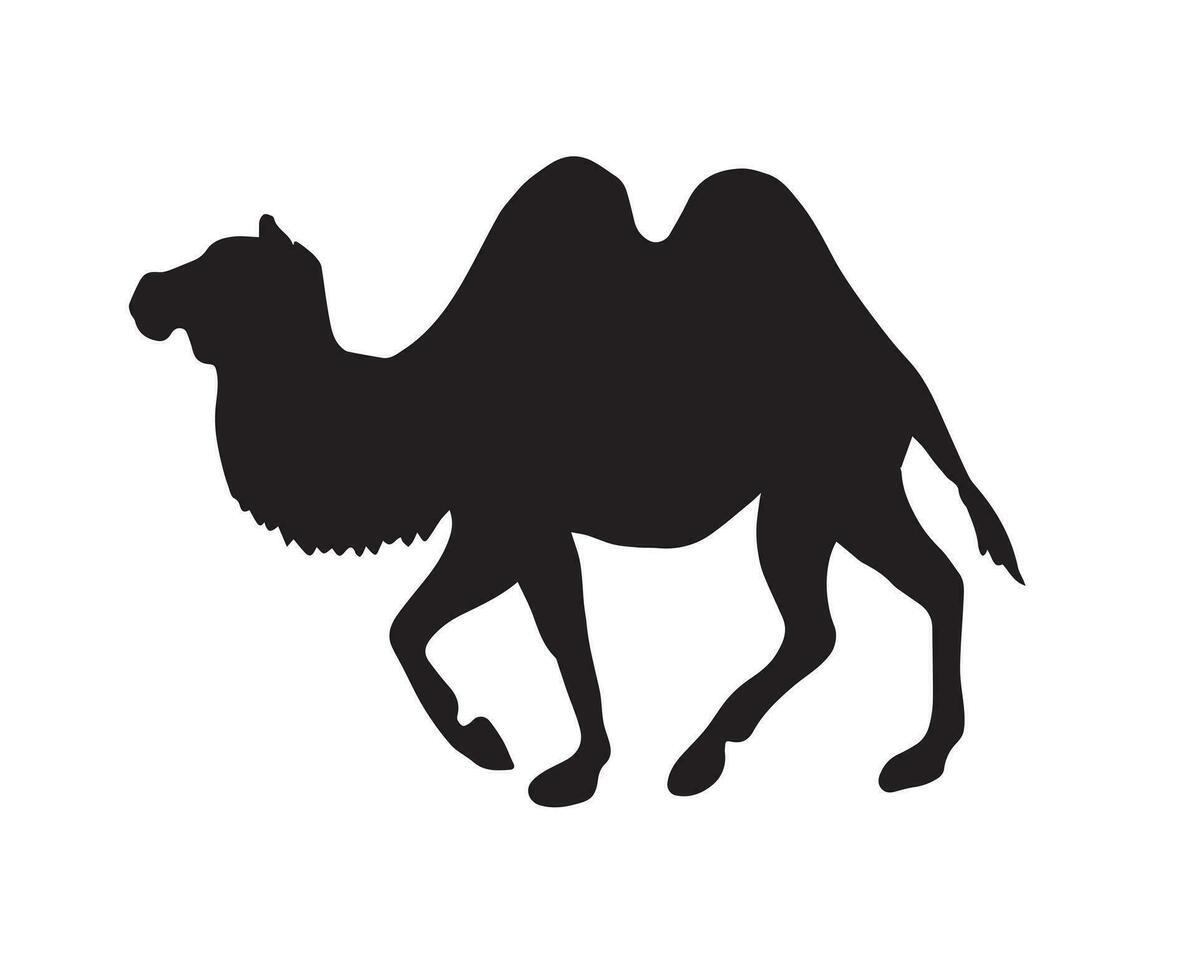 vector zwart vlak dromedaris kameel silhouet