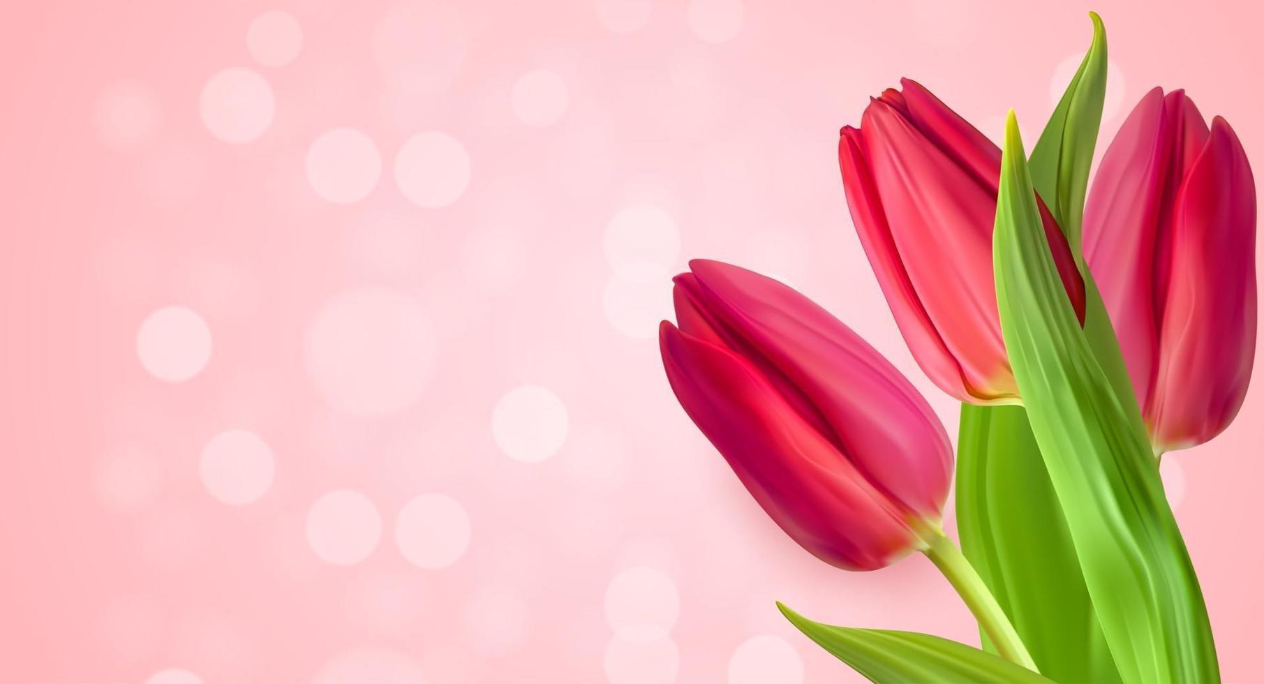 realistische natuurlijke roze tulpen bloemachtergrond. vector illustratie