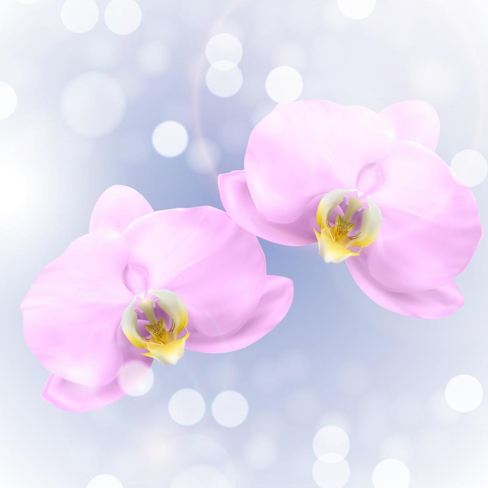 realistische 3d orchidee bloem glanzende achtergrond. vector illustratie eps10