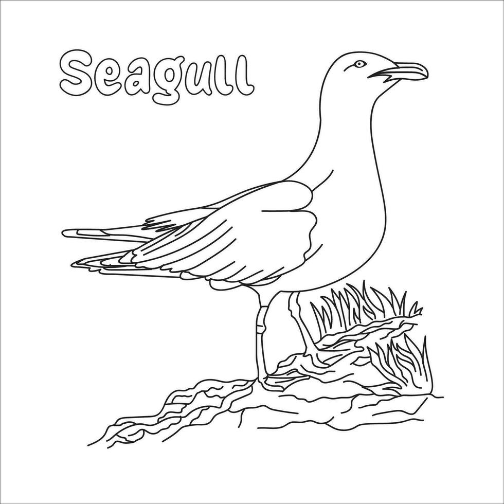zeemeeuw vogel vector illustratie, perfect voor kinderen kleur boek