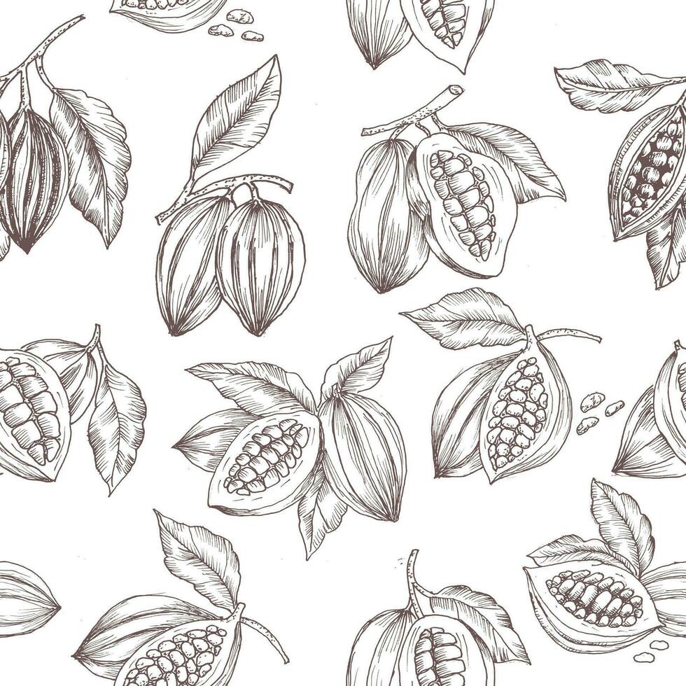 hand- getrokken cacao naadloos patroon vector