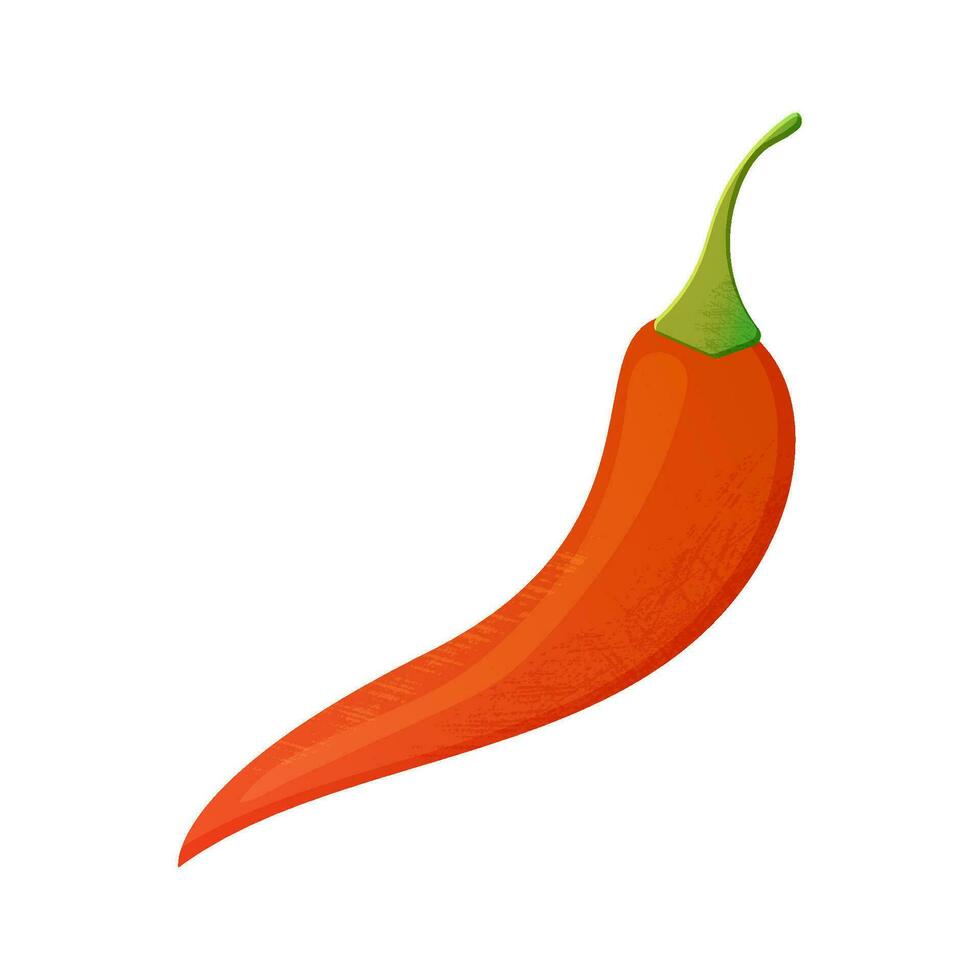 rood chili paprika rood chili peper vector