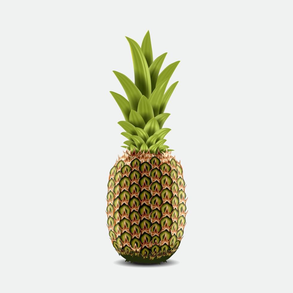 ananas geïsoleerd op een witte achtergrond vector