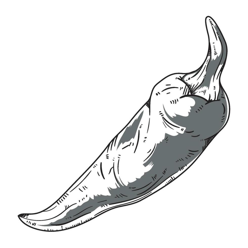 Chili peper icoon geïsoleerd wit achtergrond vector