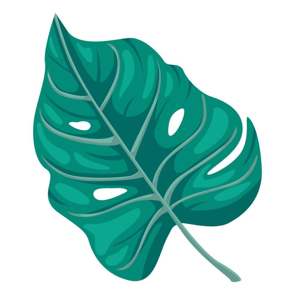 gestileerde monstera fabriek bladeren. tropisch palm blad symbool. regenwoud botanisch afdrukken. bloemen element geïsoleerd. vector