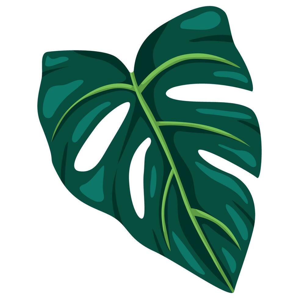 regenwoud botanisch afdrukken element. gestileerde monstera fabriek bladeren. tropisch palm blad symbool. vector