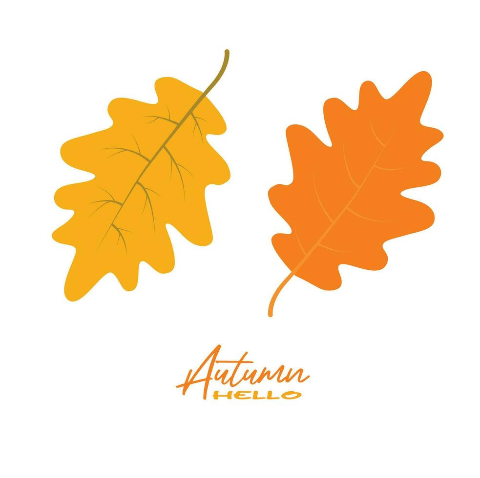 herfst eik bladeren vector illustratie. herfst bladeren ontwerp sjabloon voor decoratie, uitverkoop banier, advertentie, groet kaart en media inhoud. herfst concept. vlak vector geïsoleerd Aan wit.