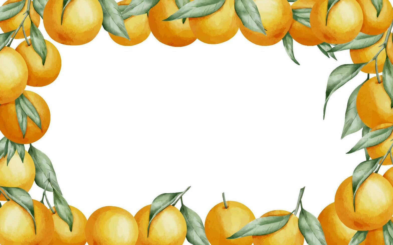 oranje fruit rechthoekig kader. hand- getrokken waterverf illustratie van grens met citrus takken Aan wit geïsoleerd achtergrond. tekening met mandarijnen en clementine voor voedsel etiket of kaarten ontwerp vector