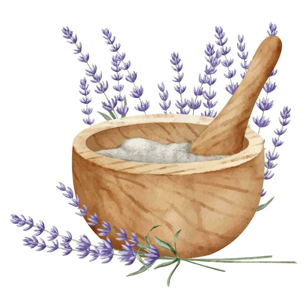 Mortier en stamper met lavendel bloemen. hand- getrokken waterverf illustratie voor alternatief geneeskunde of essentieel olie productie Aan wit geïsoleerd achtergrond. wijnoogst tekening voor aromatherapie etiket vector