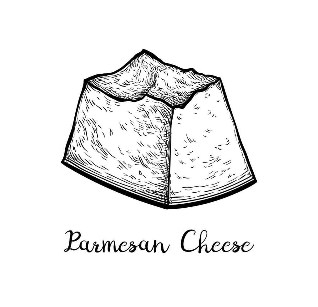 gehakt Parmezaanse kaas kaas. inkt schetsen geïsoleerd Aan wit achtergrond. hand- getrokken vector illustratie. wijnoogst stijl beroerte tekening.