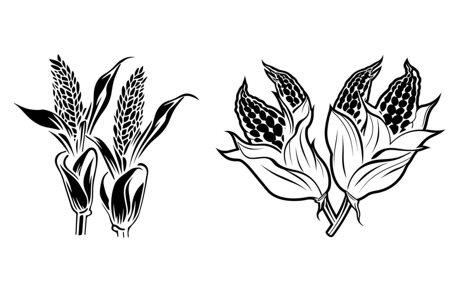 barbecue maïs vlak illustratie, bbq maïs vector silhouet