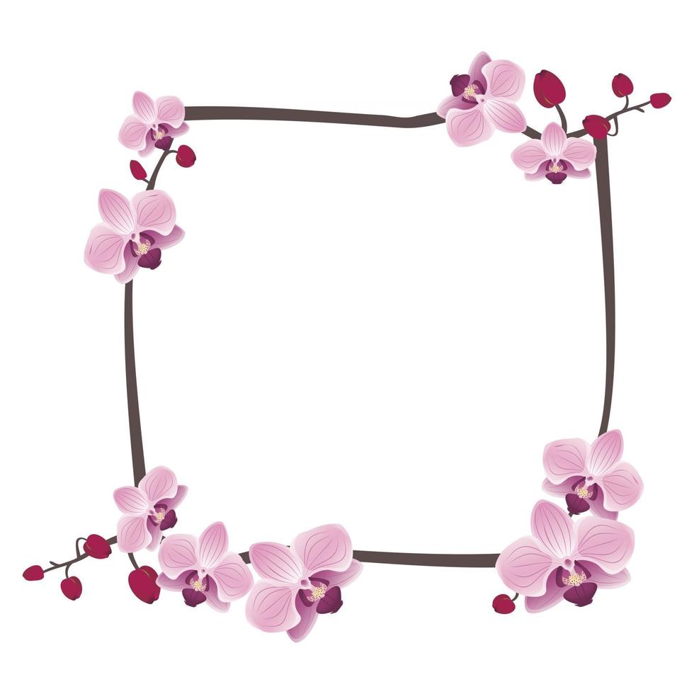 schattig orchideeën frame of bloemen briefkaart. lente roze bloeiende compositie met knoppen en bladeren. feestelijke decoraties voor bruiloft, vakantie, ansichtkaart, poster vector