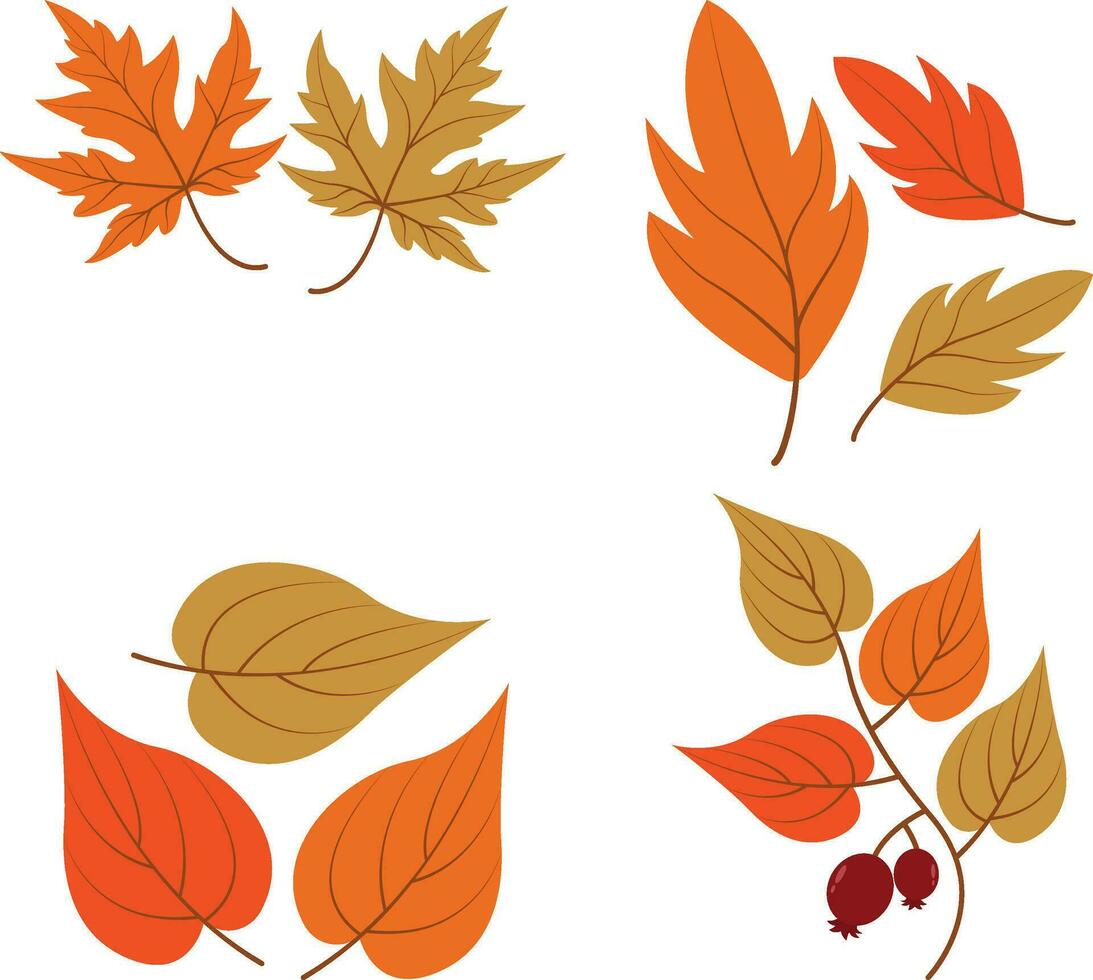 herfst bladeren. verzameling van kleurrijk vallend herfst bladeren geïsoleerd Aan wit achtergrond. vector illustratie.