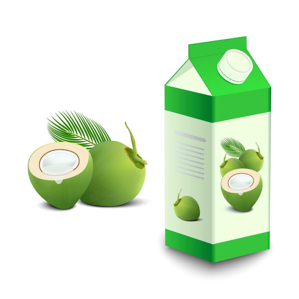 realistisch verpakking met groen kokosnoot water drinken - vector illustratie.