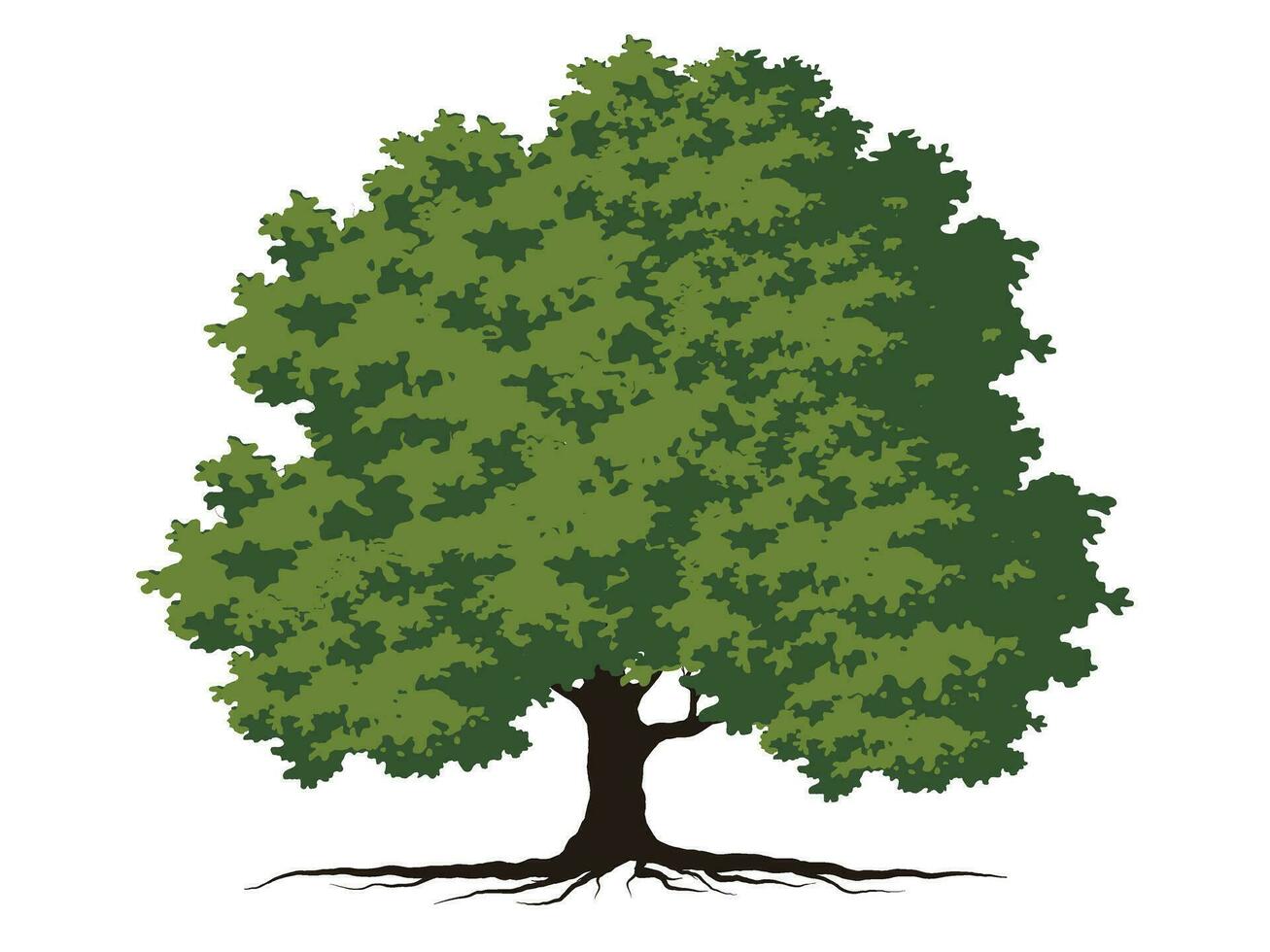 bomen met groen bladeren kijken mooi en verfrissend. boom en wortels logo stijl. vector