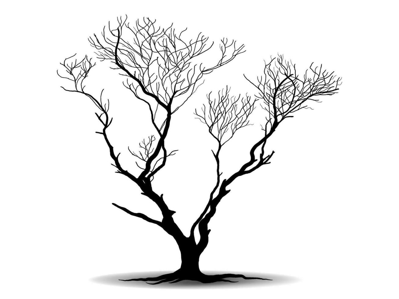 zwart Afdeling boom of naakt bomen silhouetten. hand- getrokken geïsoleerd illustraties. vector