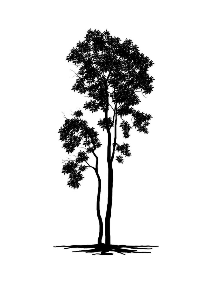 zwart Afdeling boom of naakt bomen silhouetten. hand- getrokken geïsoleerd illustraties. vector
