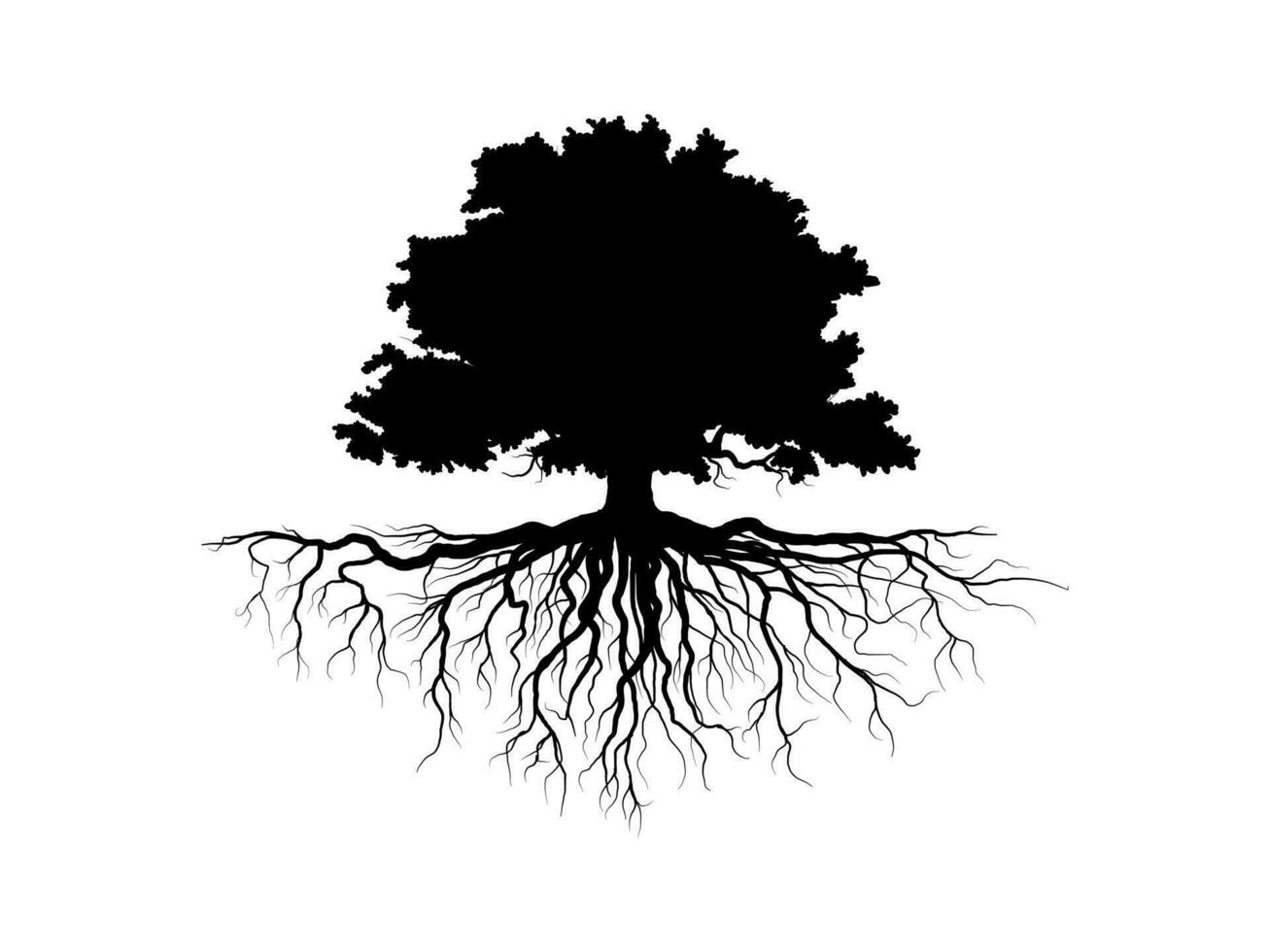 zwart Afdeling boom of naakt bomen silhouetten. hand- getrokken geïsoleerd illustraties. vector