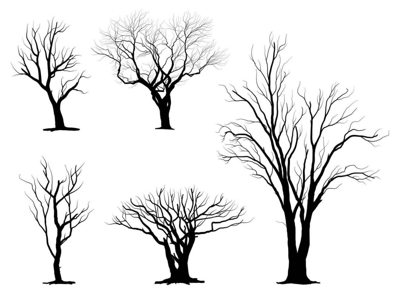 zwart Afdeling boom of naakt bomen silhouetten. hand- getrokken geïsoleerd illustraties. vector