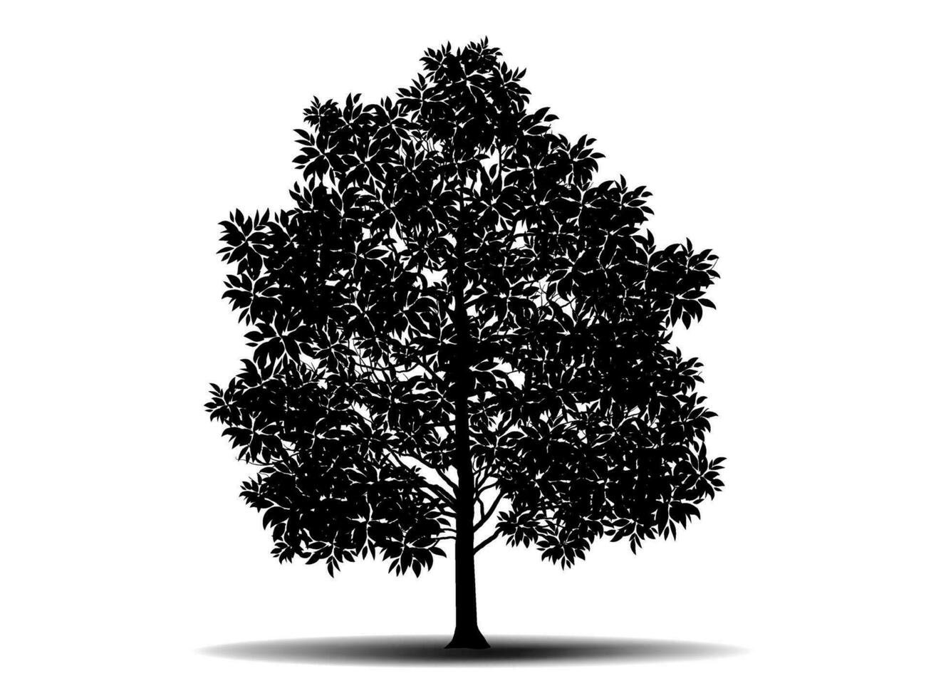 zwart Afdeling boom of naakt bomen silhouetten. hand- getrokken geïsoleerd illustraties. vector